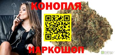 стафф Кинель