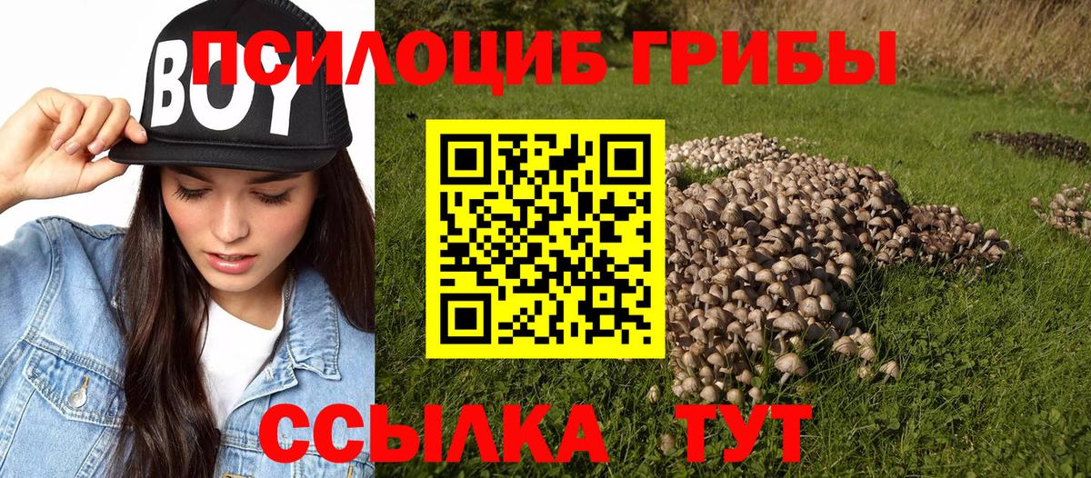 Благовещенск  Галлюциногенные грибы GOLDEN TEACHER  Вход с VPN 